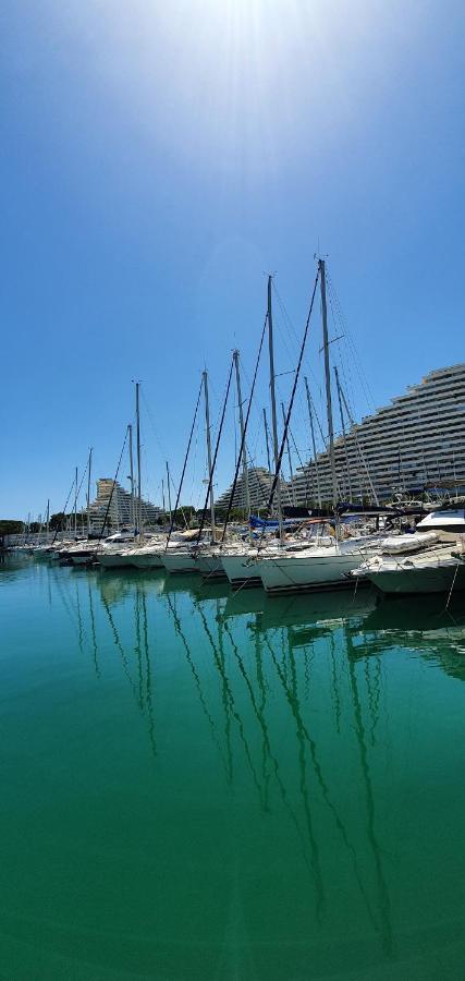 Studio Confort, Plages Proche, Wifi, 2 Lits - Fame Marina Baie Des Anges ヴィルヌーヴ・ルベ エクステリア 写真